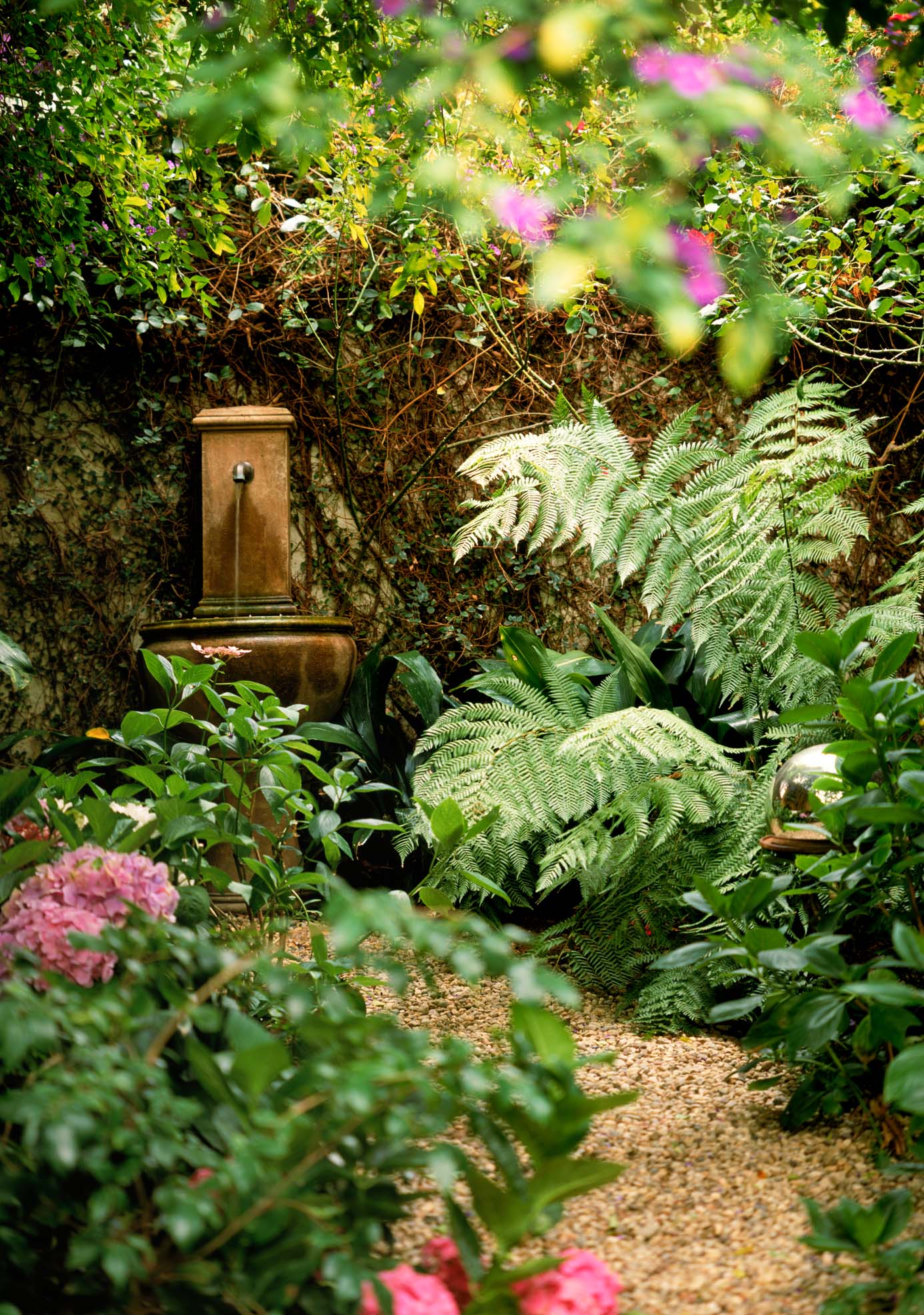 Entry garden: Shade-loving ferns and hydrangea greet visitors in the inviting entry courtyard.