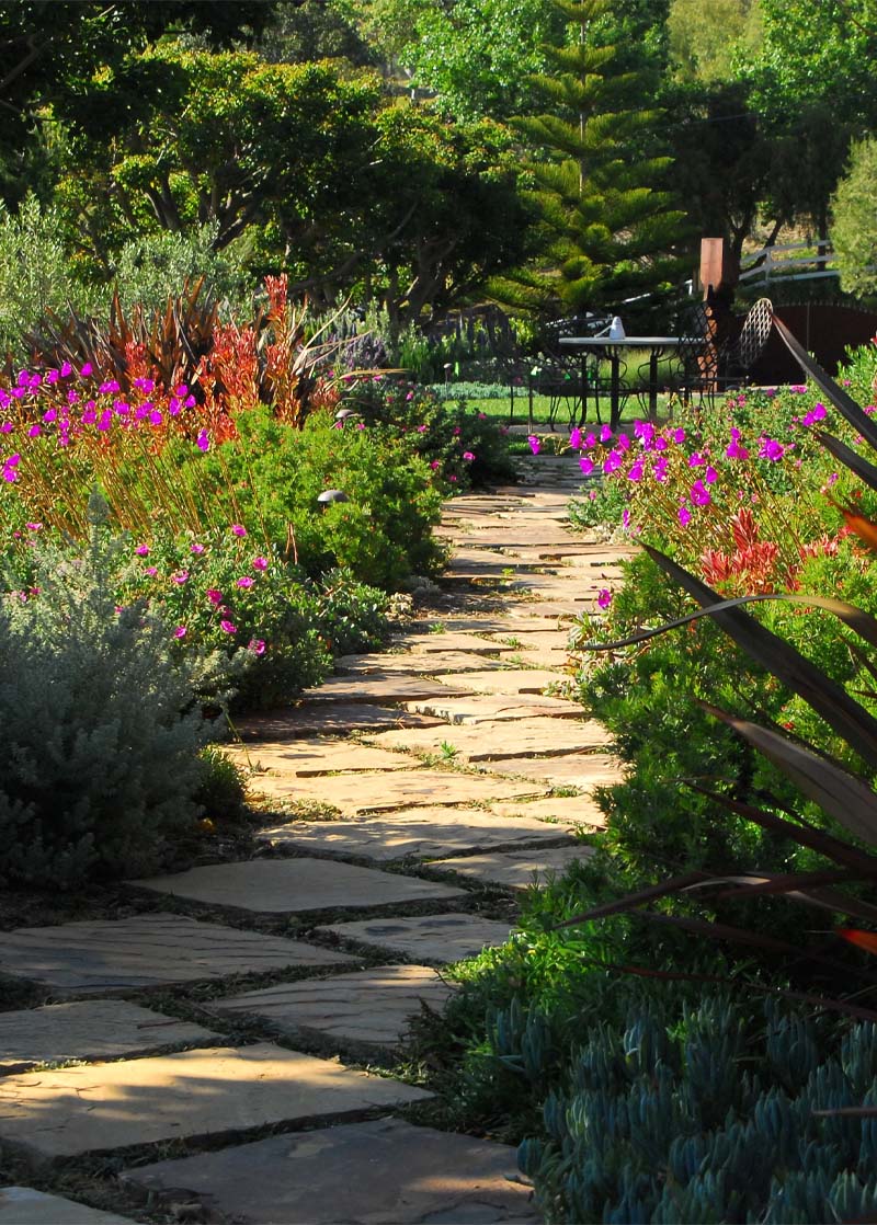 Natural stepping stones meander through brilliant blooms and drought-resistant perennials.
